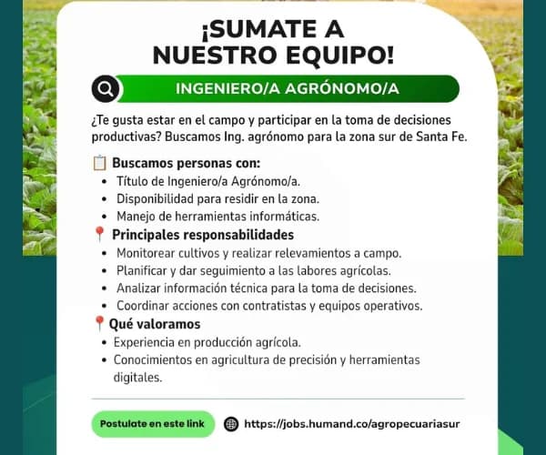 busqueda III.png