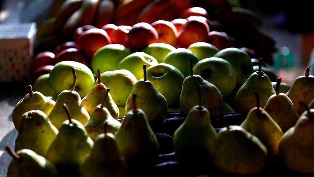 Arroceros, citricultores y productores de peras y manzanas se suman al Programa Exportador