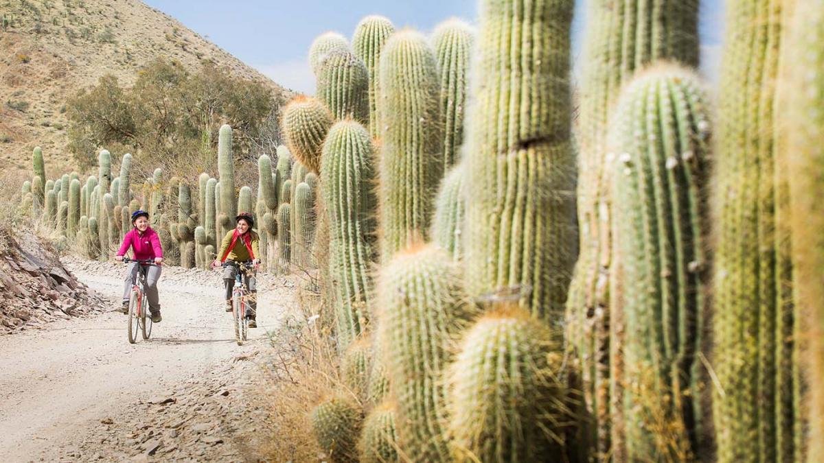 La provincia de Jujuy se sum entre los destinos ms solicitados a travs del programa Foto Archivo