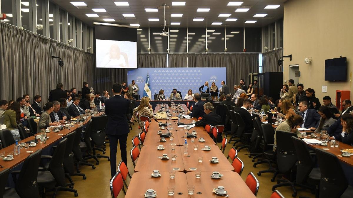 La inciativa recibi esta semana dictamen favorable en un plenario de comisiones Foto archivo 