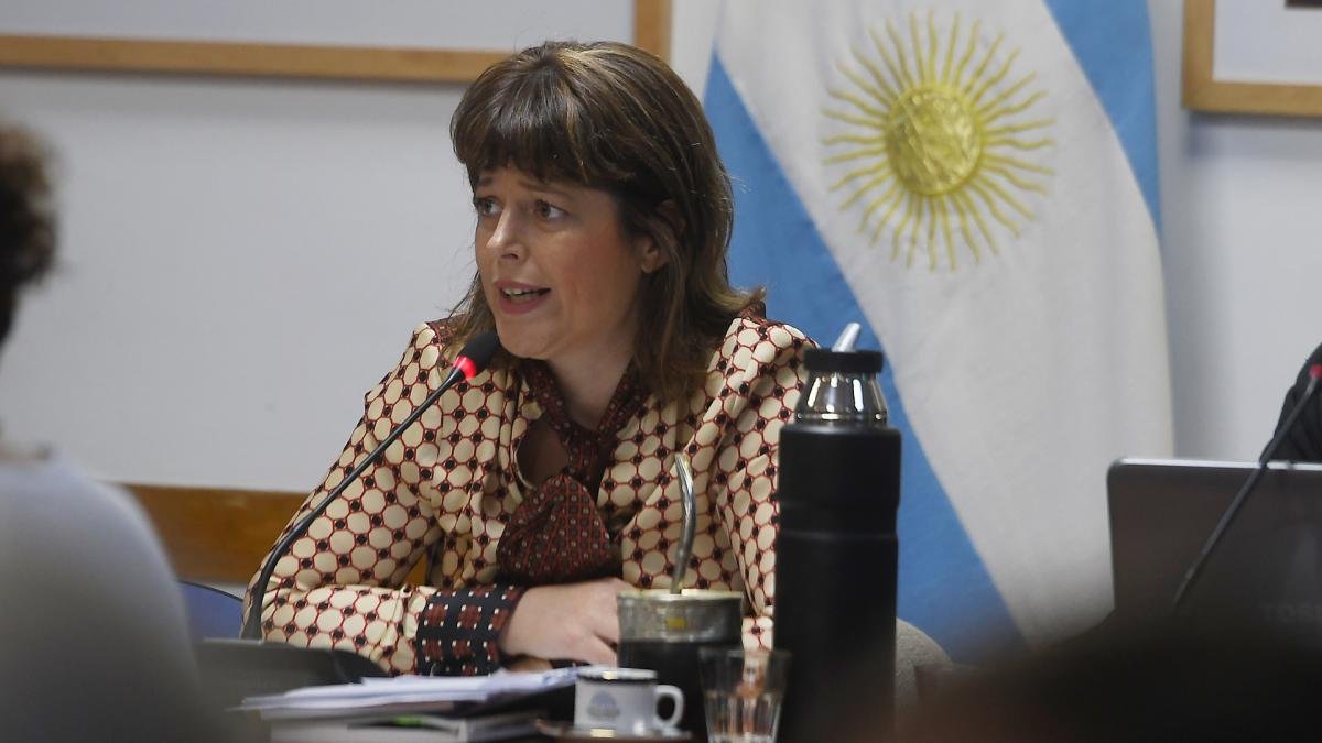 Gaillard reclamó documentación sobre la Obra Social del Poder Judicial