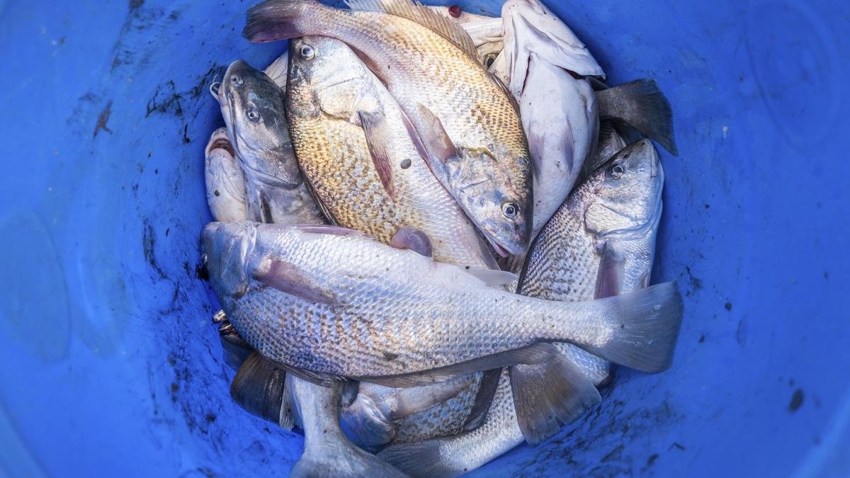 Foto Diego Izquierdo