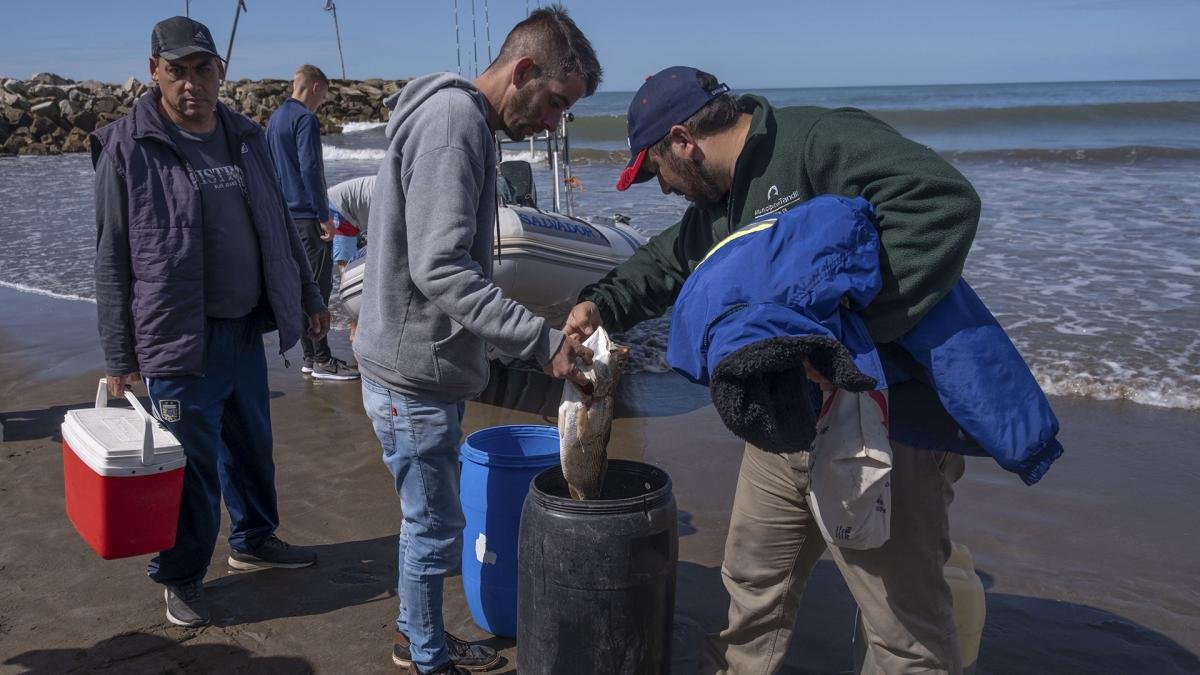 Foto Diego Izquierdo