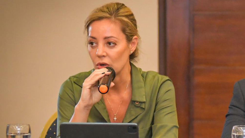 La secretaria de Energa Flavia Royon destac el proyecto de ley que impulsa la transicin a energas limpias Foto Archivo