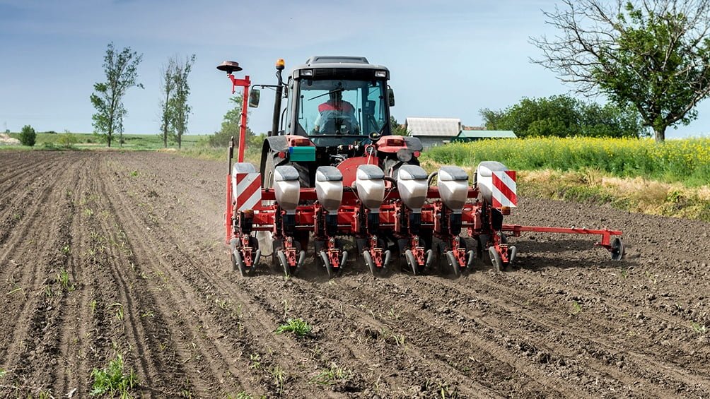 El Gobierno apuesta a la siembra del trigo pese a la incertidumbre por el clima