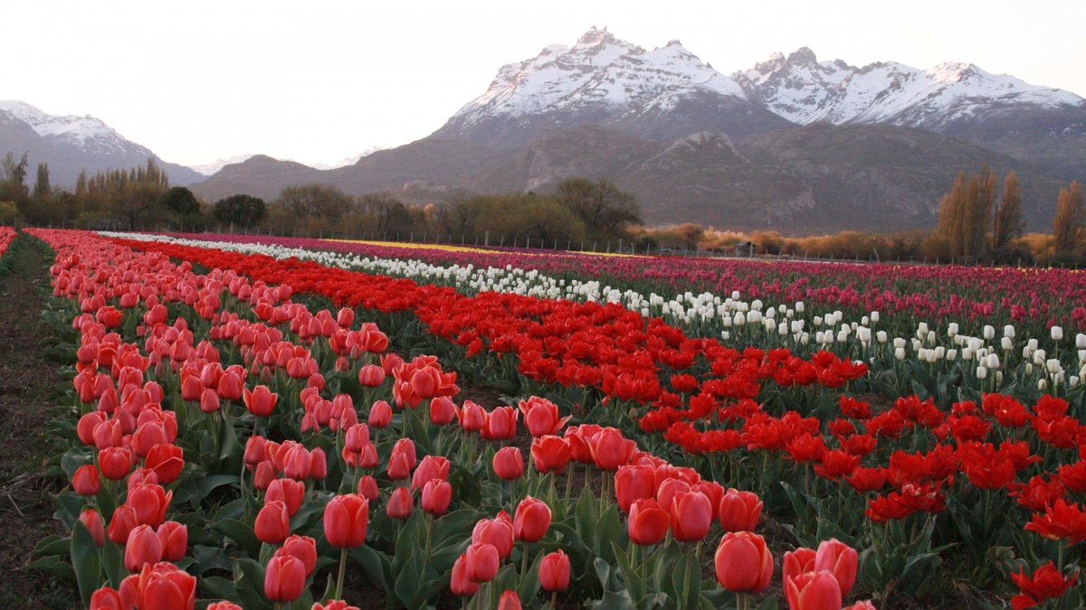 Foto Ministerio de Turismo y reas Protegidas de Chubut