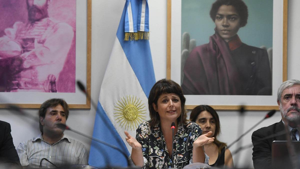 Las audiencias son presididas por la oficialista Carolina Gaillard en la sala 227 del Anexo A de la Cmara baja Foto Camila Godoy