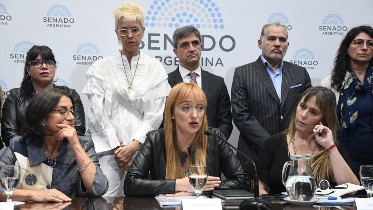 Para los senadores del FdT suspender elecciones provinciales es un «golpe institucional»