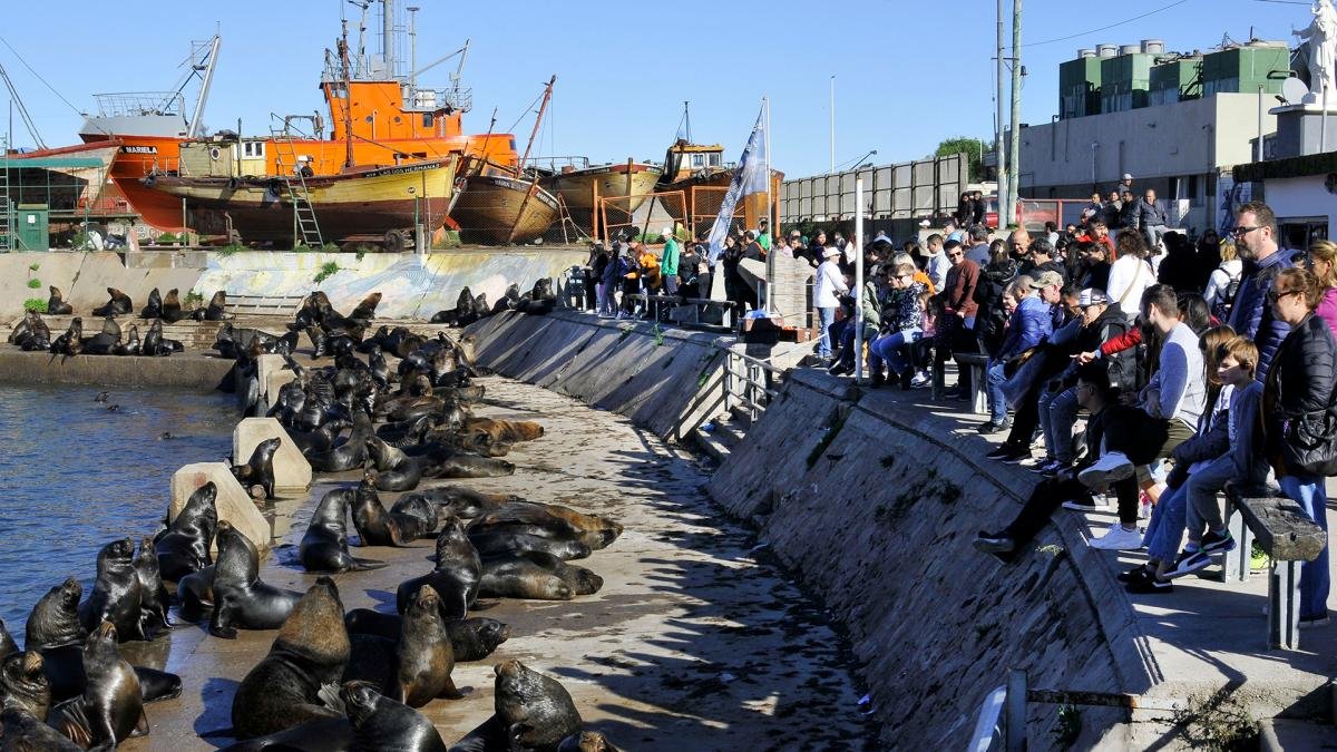 El puerto de Mar del Plata un clsico para los turistas que eligen ese destino para hacer una escapada Foto Alejandro Moritz