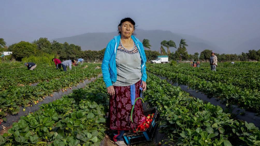 En el primer trimestre de este ao la tasa de empleo de las mujeres alcanz el 481 Foto Archivo