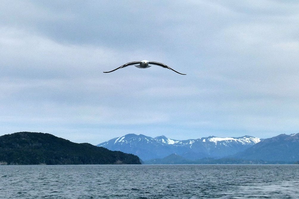 En Neuqun San Martn de los Andes registr un 80 de ocupacin