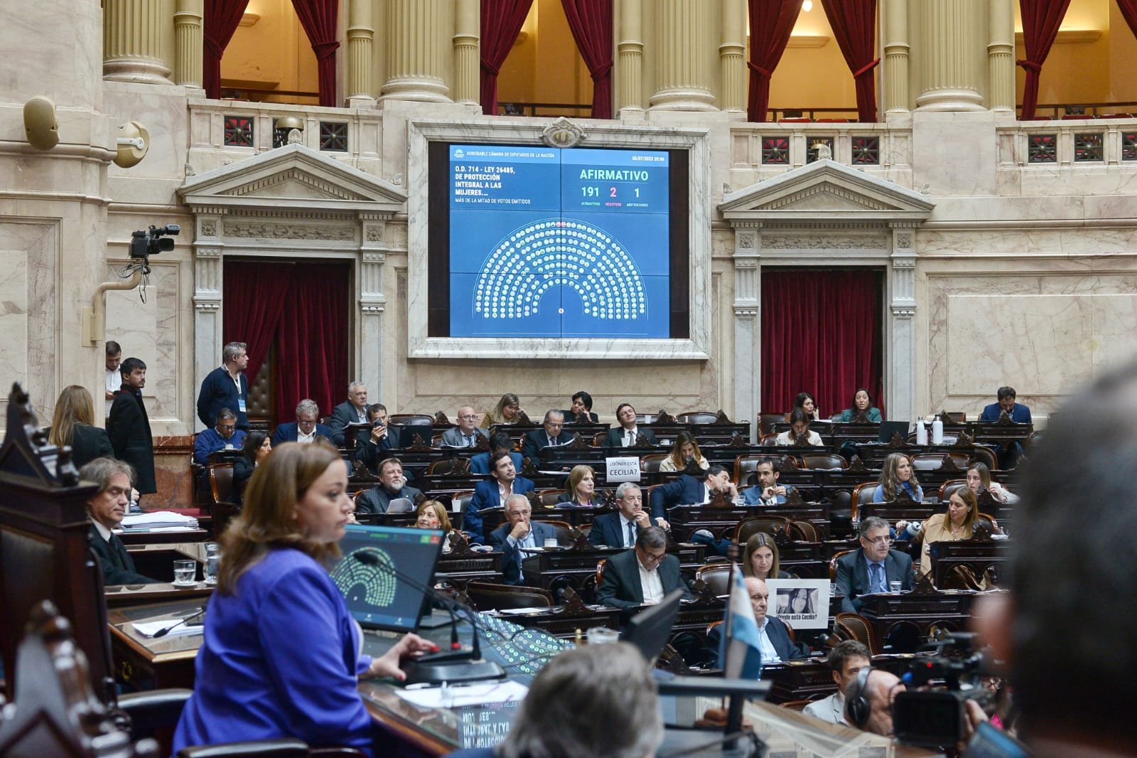 Diputados aprobó la Ley Olimpia Argentina contra la violencia digital