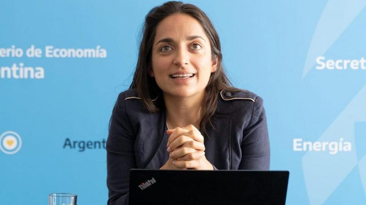 Garibotti Es la demostracin de que se puede hacer una poltica pblica integral en materia de energa