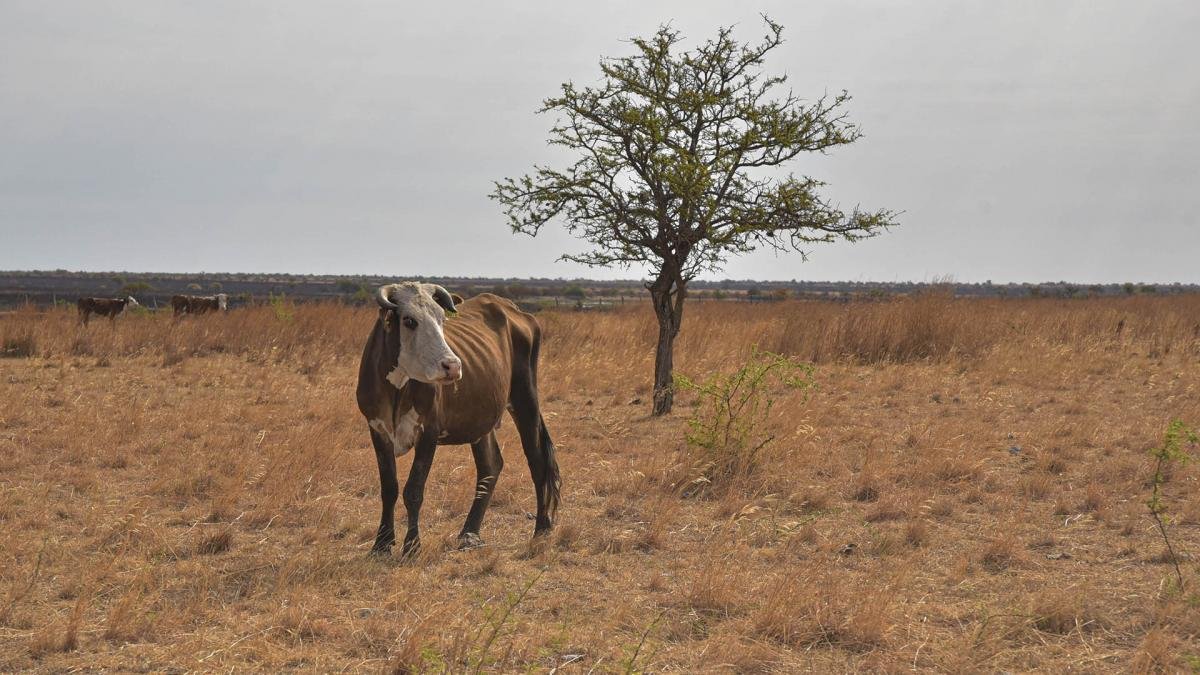 La Argentina atraves una situacin muy difcil por la sequa expresaron desde el FMI