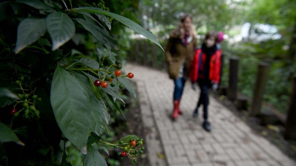 Sus 12 Has pueden ser recorridas por los visitantes por senderos sealizados y vistas guiadasFoto Diego Araoz