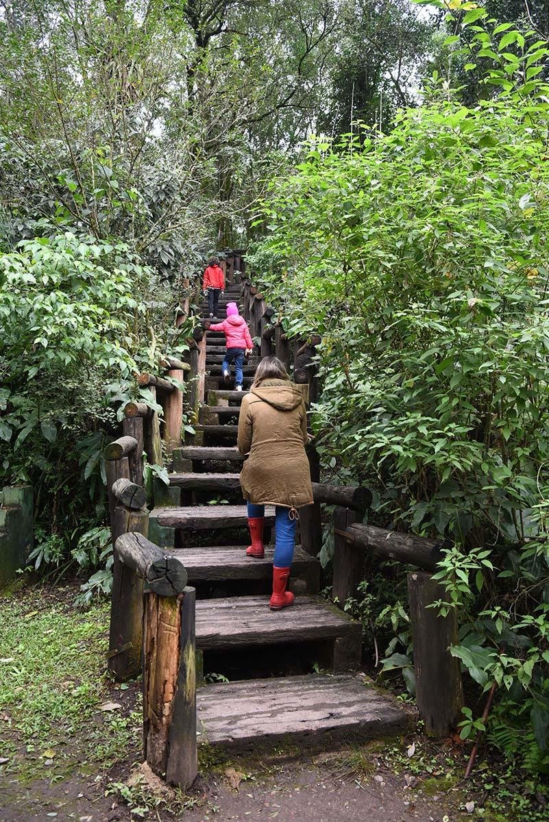 El jardn posee 190 ejemplares de rboles y arbustosFoto Diego Araoz