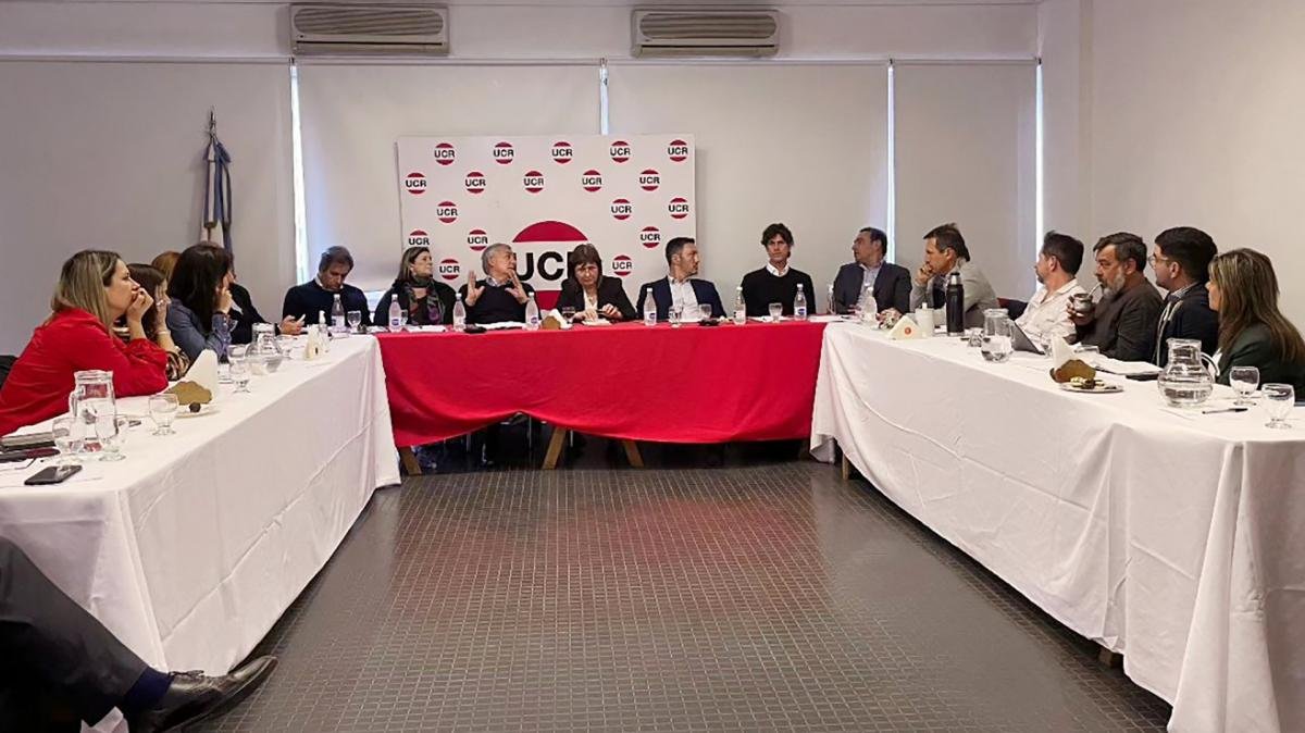 Bullrich recibió el apoyo de la UCR, tras las dudas de otros dirigentes radicales