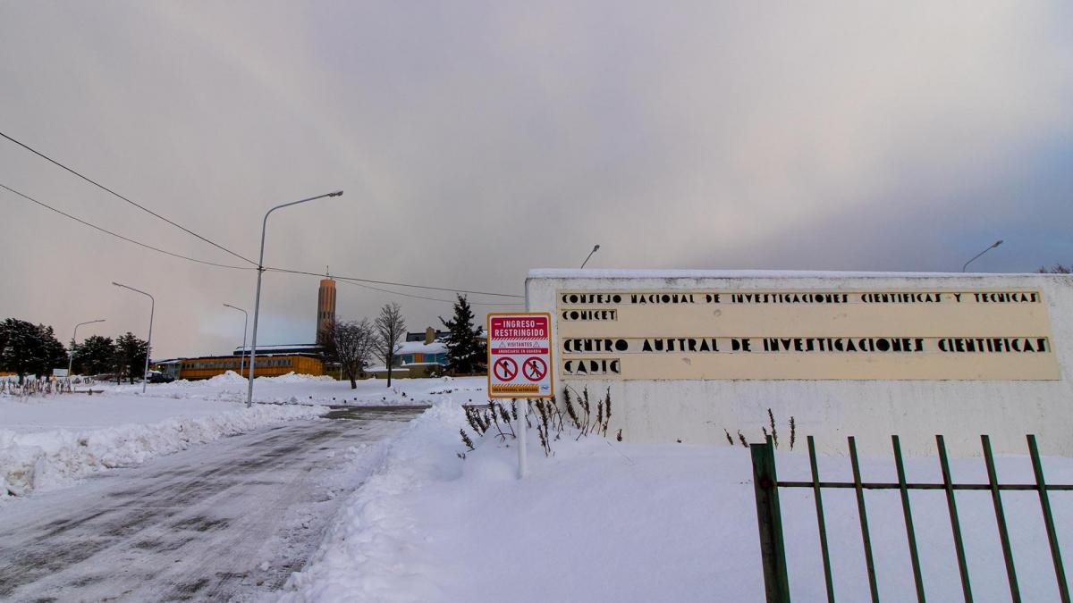 Foto Cristian Urrutia