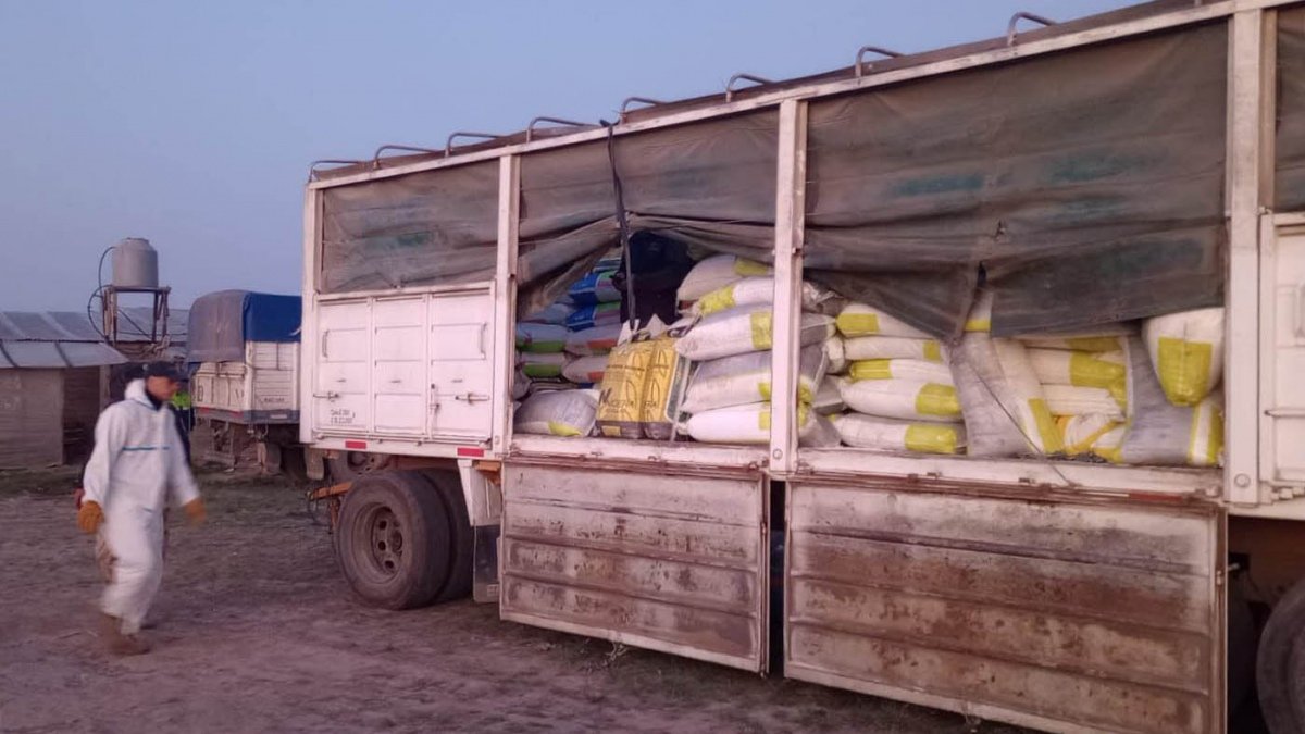 Tambin habr beneficios para proveerse de fertilizantes Foto prensa 