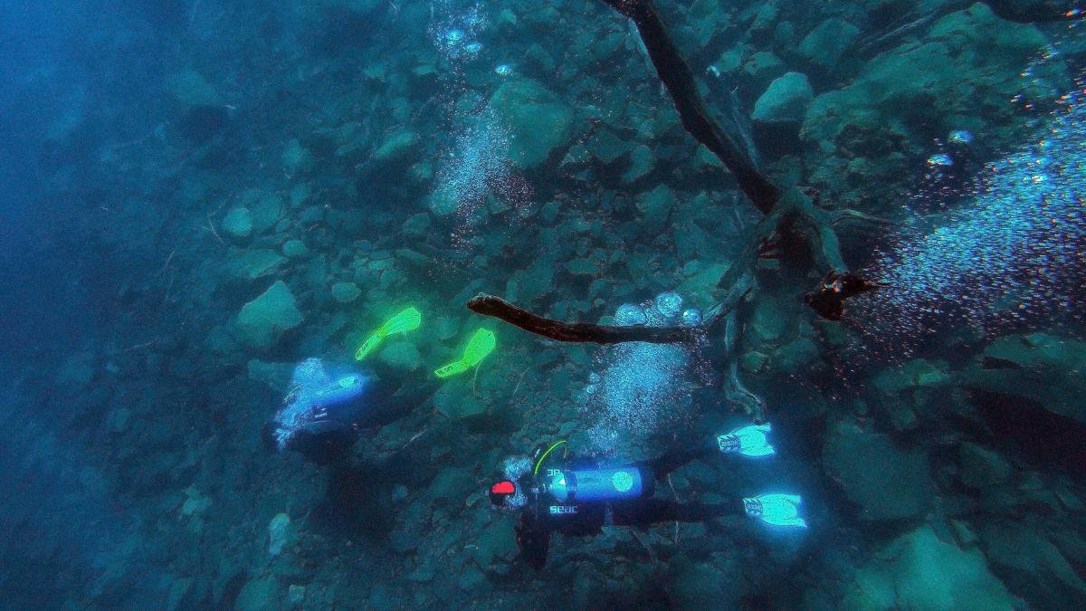 Uno de los principales atractivos de la villa es el bosque sumergido Foto Prensa