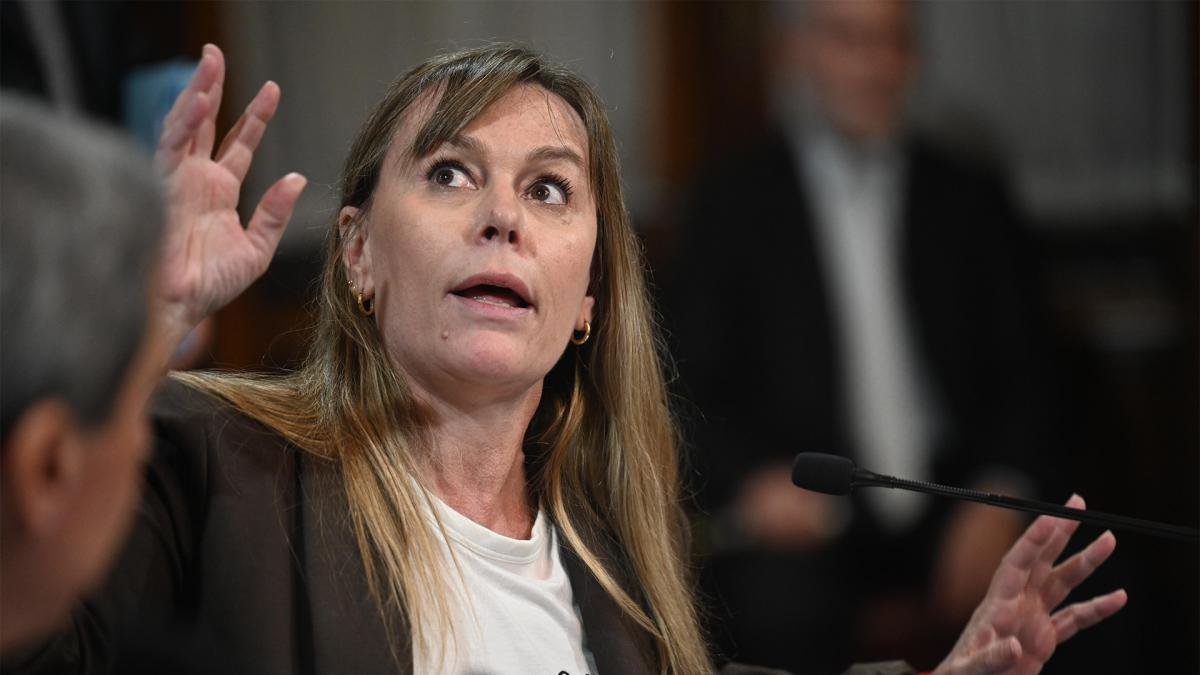 Juliana Di Tullio destac que el proyecto de Ley no es electoralista y que dej de serlo cuando el ministro de Economa Sergio Massa lo mand al CongresoFoto Pepe Mateos