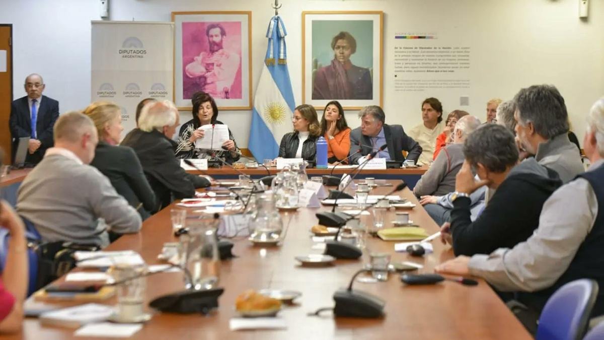 La ministra de Trabajo Kelly Olmos abri el debate sobre la reduccin de la jornada laboral en la Comisin de Legislacin del Trabajo Foto TW kellyolmos