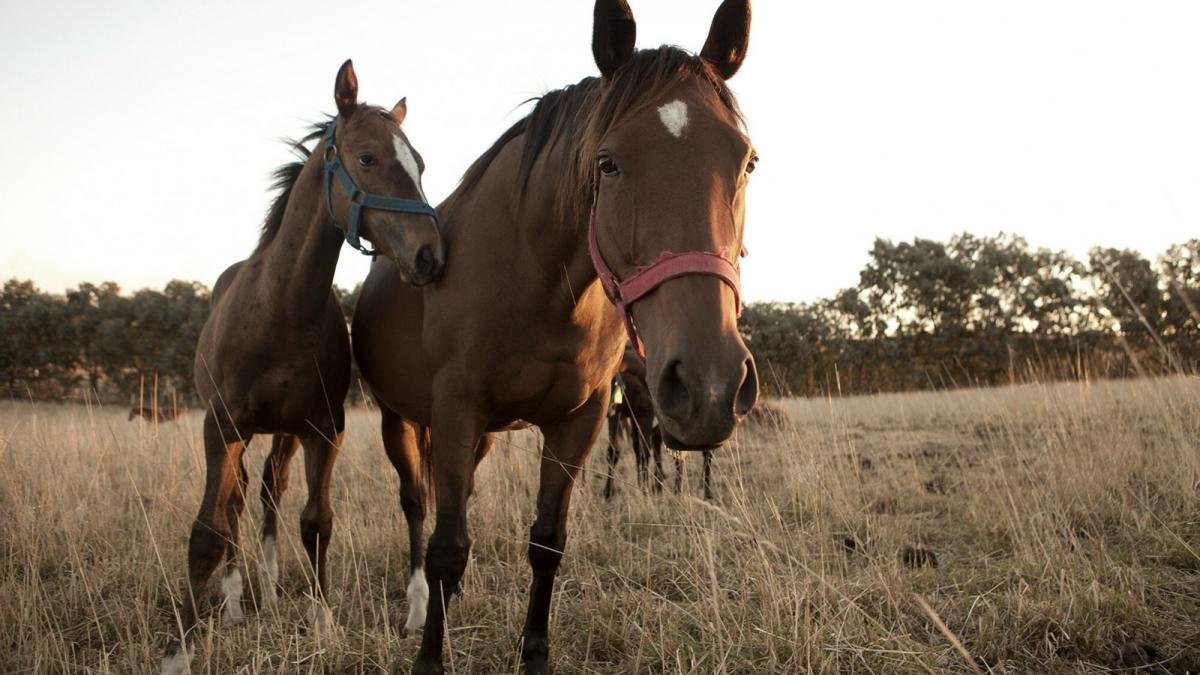 Es importante que los brotes se reporten pidieron desde el organismo