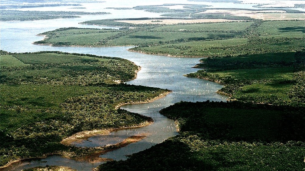 Esteros del Iber un rea de 1200000 hectreas protegidas donde conviven ms de 380 especies de aves