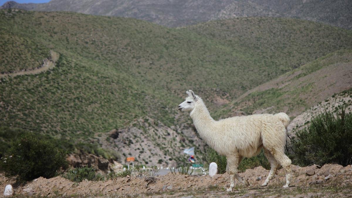 Valles Calchaques Foto Prensa