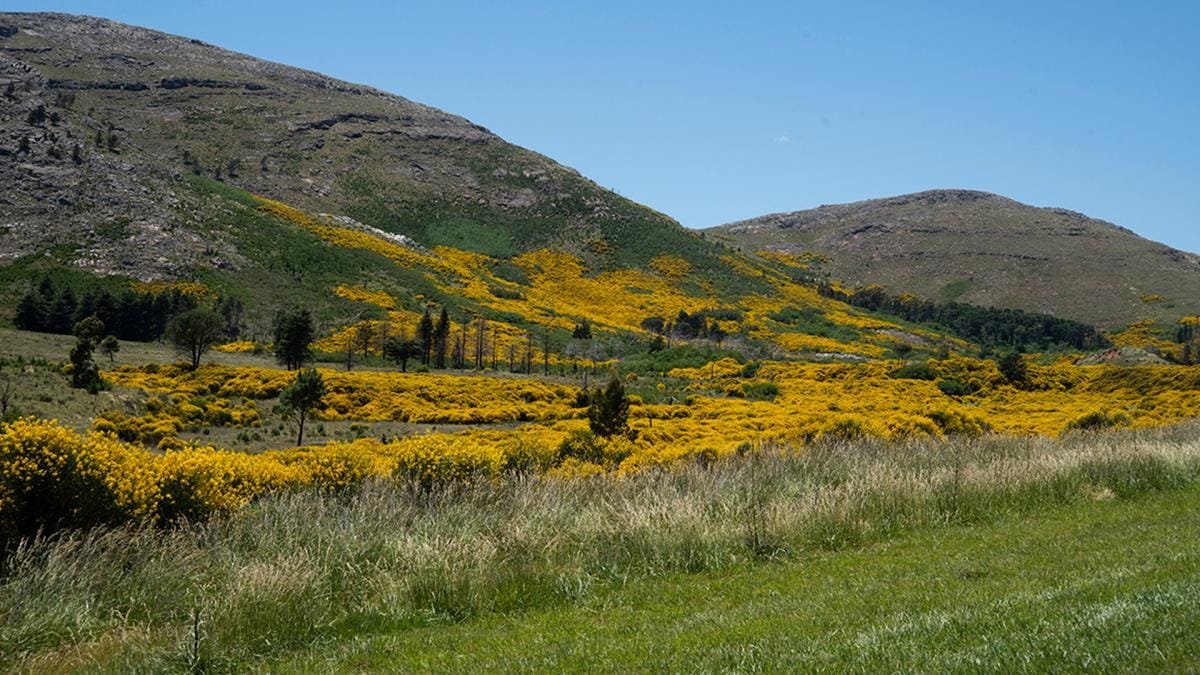 Sierra de la Ventana menos turistas pero ms consultas para la segunda quincena Foto Archivo