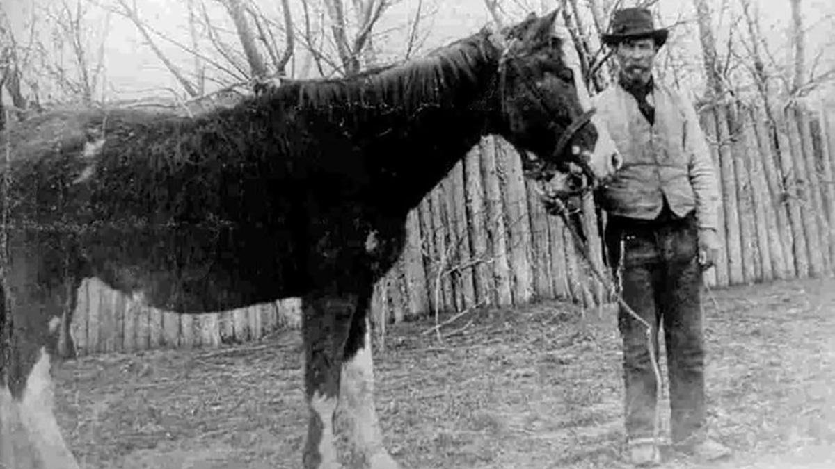 Una imagen de John Daniel Evans Foto prensa