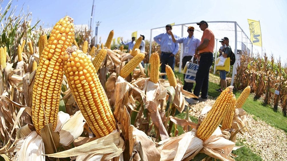 Todo listo para la edición 2024 de Expoagro en San Nicolás