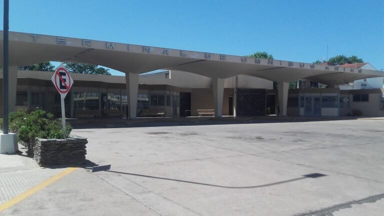 Los colectivos paran: adhesión total al Paro Nacional