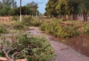 La cola del tornado dejó a medio centenar de afectados en Colonia Bremen