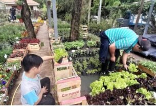 Córdoba inclusiva: 187 experiencias laborales auténticas para estudiantes de la modalidad especial durante el ciclo lectivo 2025.