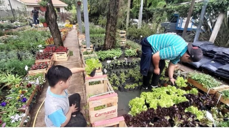 Córdoba inclusiva: 187 experiencias laborales auténticas para estudiantes de la modalidad especial durante el ciclo lectivo 2025.